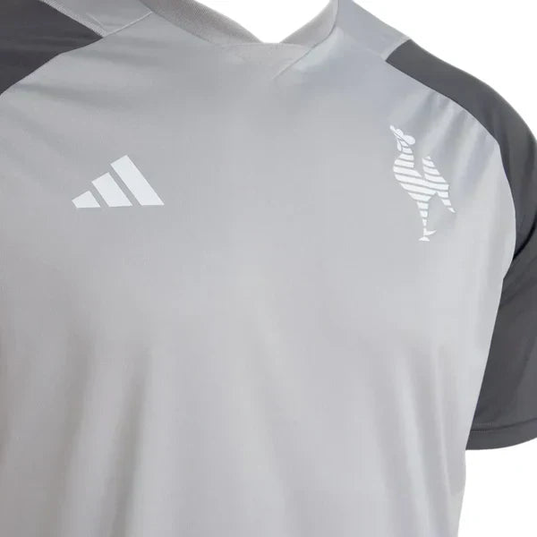 Camisa Atlético Mineiro Treino 2024/25 Masculina